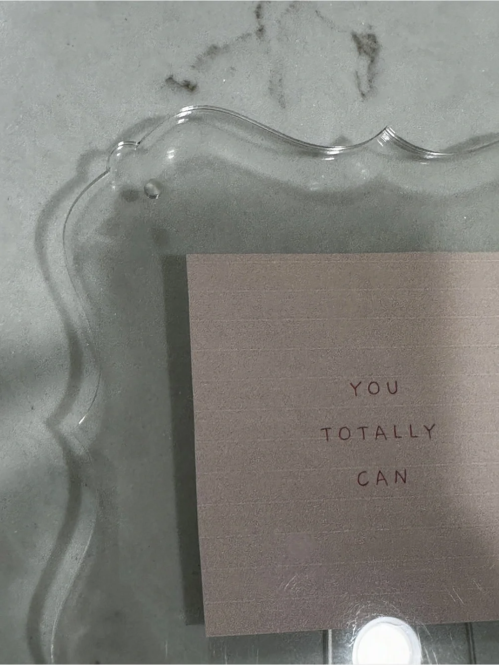 Clear Scalloped Acrylic Frame with Pink Accent Insert